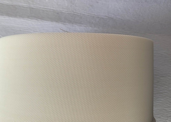 Plain Weave 09502 Polyester Mesh Belt For Garlic Drying