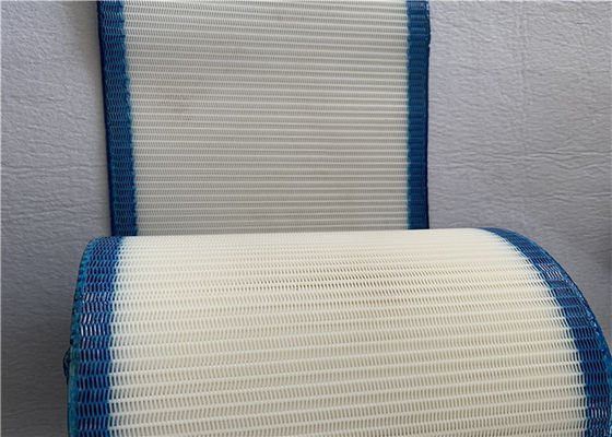 Ambalaj Kağıdı Kurutma İçin Beyaz ve Mavi Monofilament Polyester Hasır Kemer