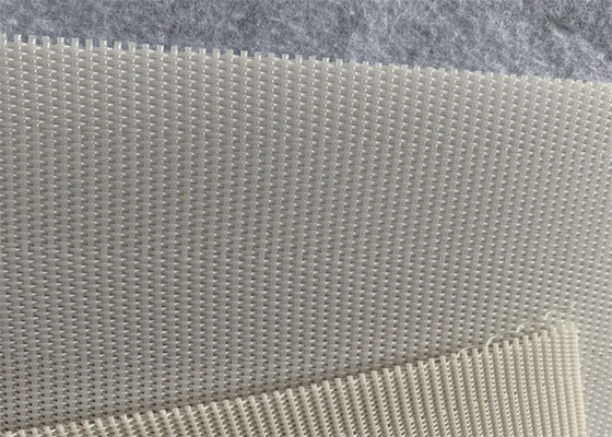 Şeker Kamışı Sıkma için Kağıt Fabrikası 0.1m Polyester Çamur Susuzlaştırma Kemeri